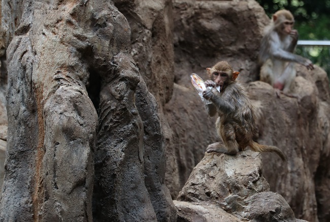 1603955444737481.jpg 52无奈1.jpg