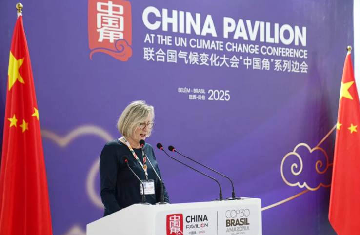 1763369295365011.png 17.png